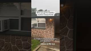 What you get for $1000 in Tampa Florida #affordableprice #affordablehousing #tampa #florida