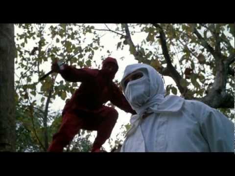 Enter the Ninja'