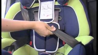 BELLELLI GIOTTO BLACK (01GIO010)