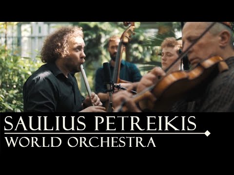 Saulius Petreikis - Saulius Petreikis, Spring Birds, Whistle and Violin Solo