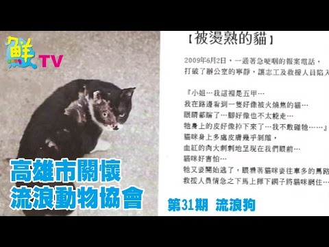 賓主盡歡 高貴不貴 饗禾記火鍋雞&酸菜魚專賣