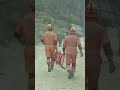 Uttarakhand Tunnel Rescue: Stretchers, Ambulances Ready At Uttarakhand Tunnel Rescue Site