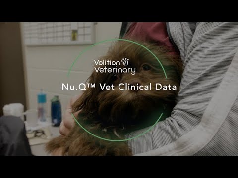 An interview with Heather Wilson-Robles, Chief Medical Officer of Volition Veterinary Diagnostics Development LLC.