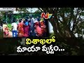 People flock to weird tree in Visakha, begin worship