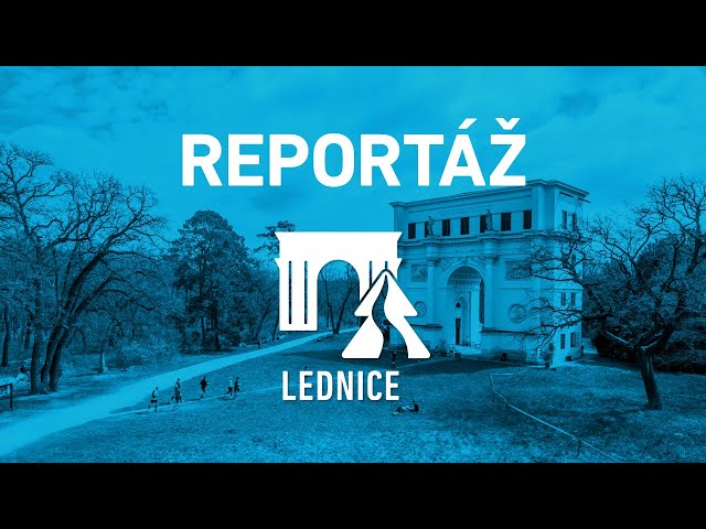 Reportáž Běhej lesy Lednice 2022