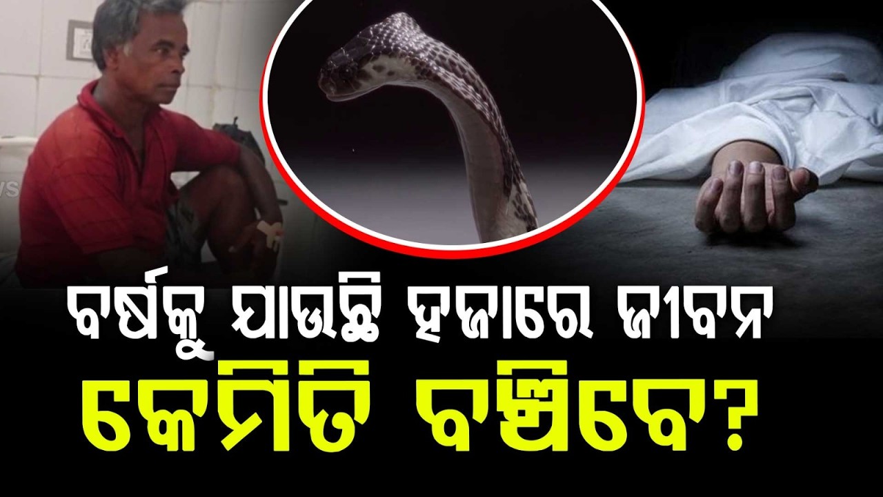 Odisha Flood Alert: Rising Snake Bite Risk in Flooded Districts | Health Dept Issues Advisory