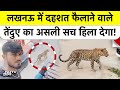 Lucknow Leopard Big Update: लखनऊ में तेंदुए की दहशत पर सबसे बड़ी खबर हिला देगी | UP News | Top News