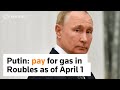 Rouble payments for gas as of Friday, says Putin