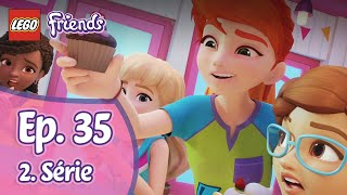 Lego Friends 2x35