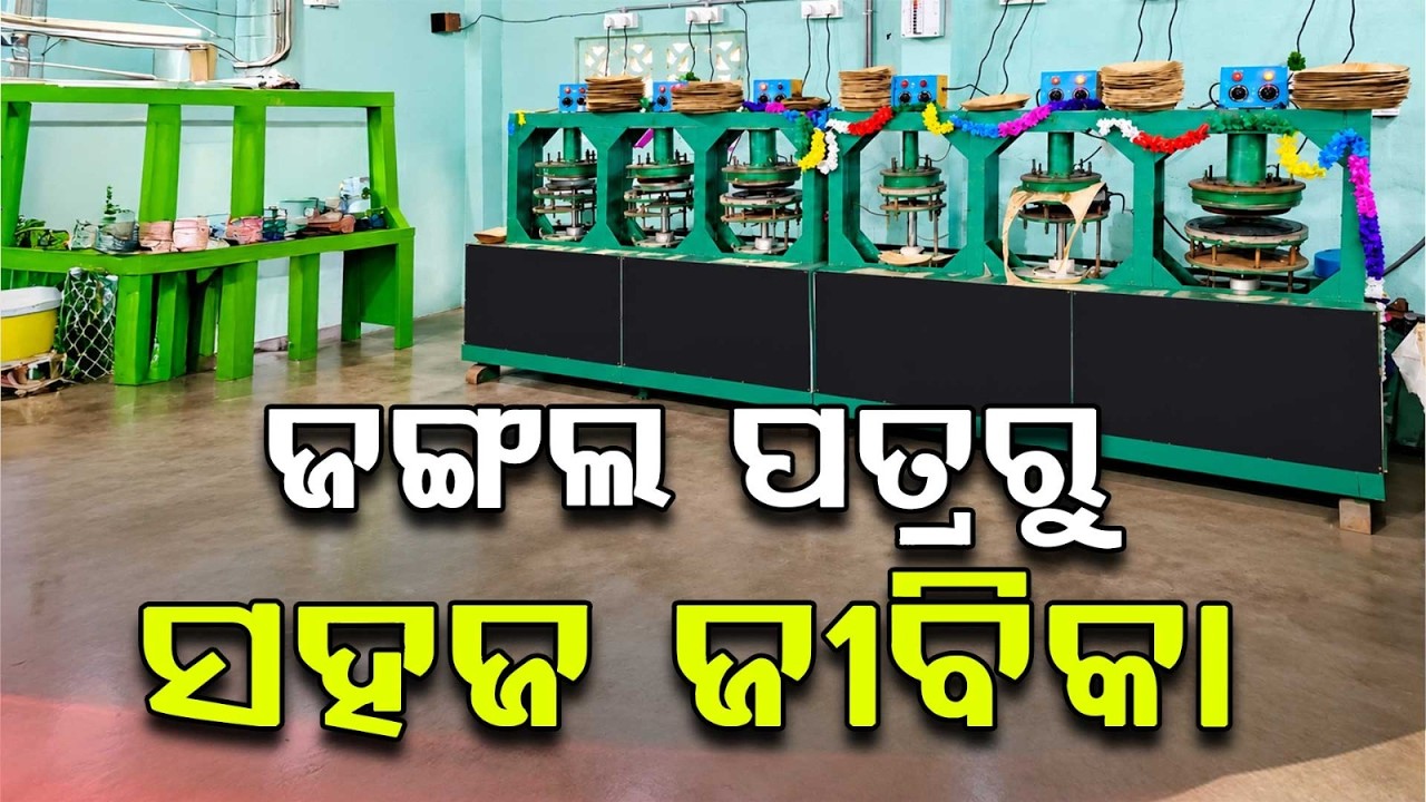Nuapada Women Lead Eco-Friendly Revolution With Leaf Plates | Argus News