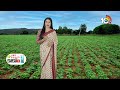 Pesara Farming | ప్రస్తుతం పెసరలో చేపట్టాల్సిన యాజమాన్యం | Matti Manishi | 10TV News  - 06:27 min - News - Video