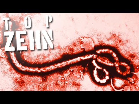 10 Fakten über das Ebola Virus