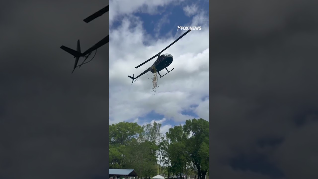 Helicopter drops Easter eggs filled with candy #foxnews #news #us #fox