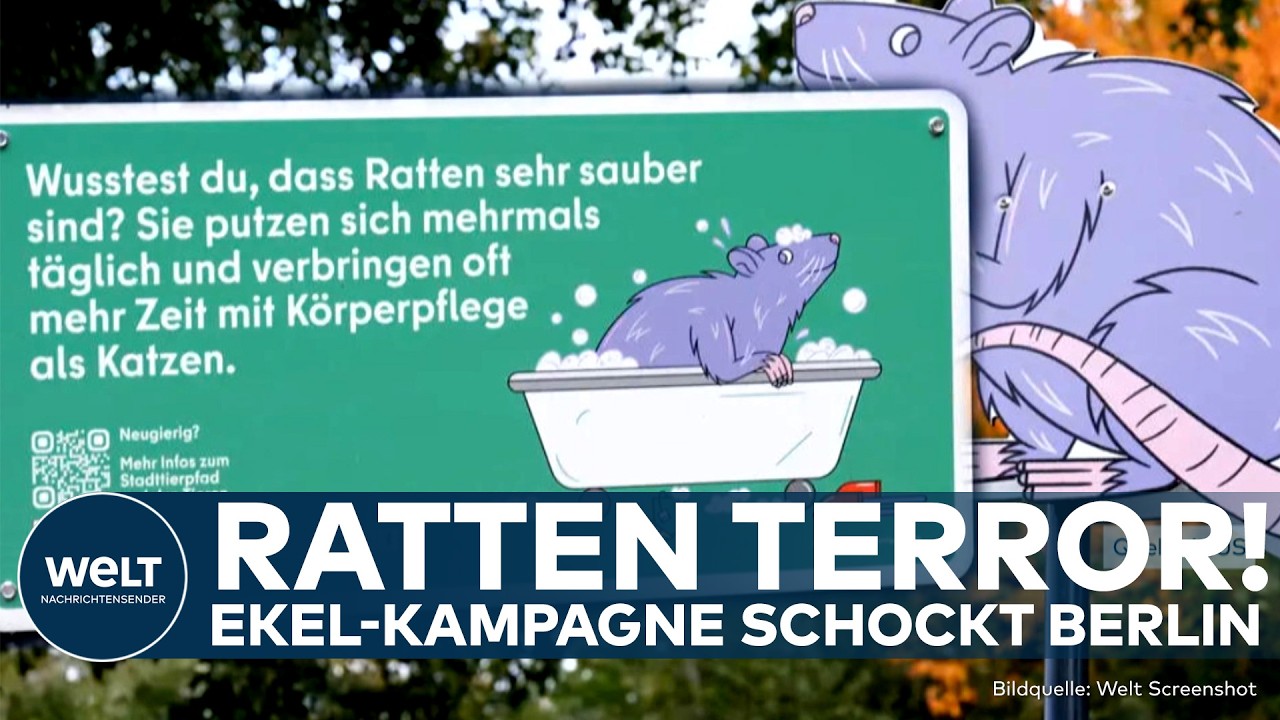 BERLIN: Rattenplage in der Hauptstadt! Kampagne soll Image aufpolieren, statt Problem zu lösen!
