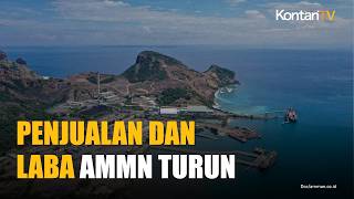 Penjualan dan Laba Amman Mineral (AMMN) Melemah pada 2025, Cek Pemicunya