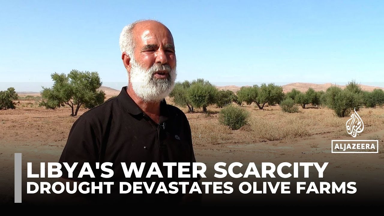 Drought devastates Libya’s olive farms as water scarcity deepens crisis