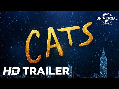 Cats'