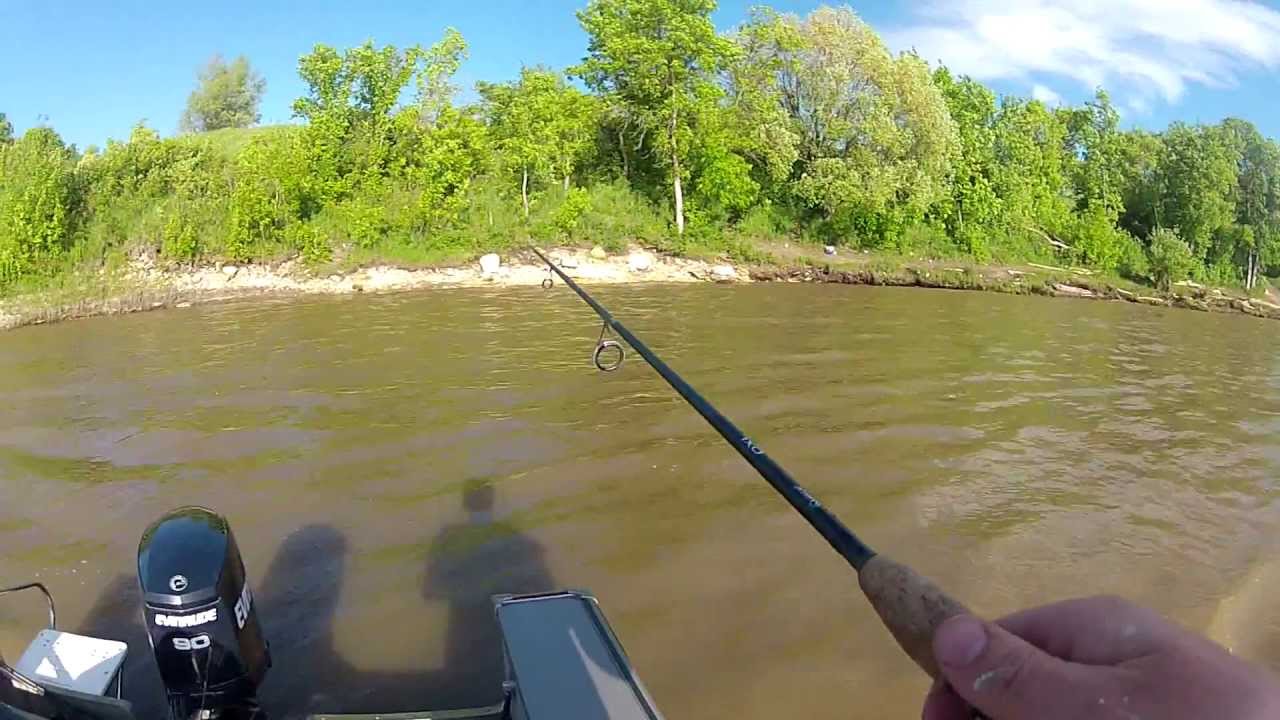 Red River Goldeye Fishing - YouTube