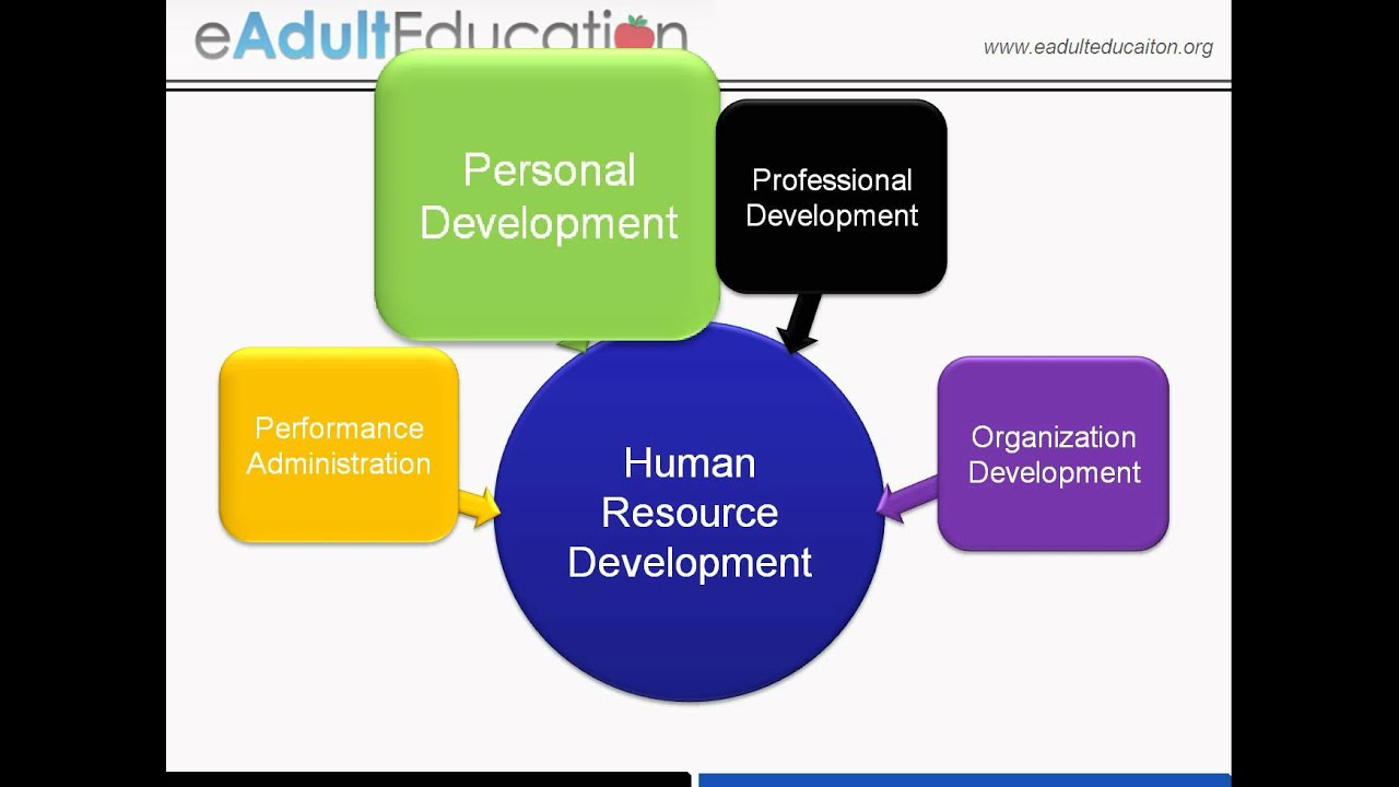 What Is Human Resource Development YouTube