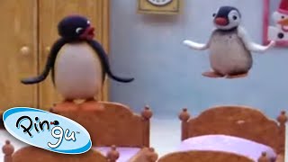 Pingu prespva u priatea
