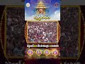 శ్రీవారి సాలకట్ల బ్రహ్మోత్సవాలు - స్వర్ణ రథం || సెప్టెంబర్ 23 వ తేదీ సాయంత్రం 4 గంటలకు | SVBC
