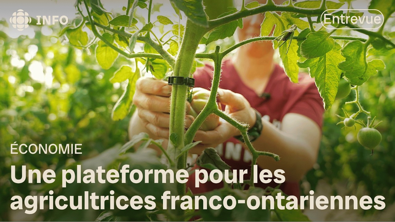 Égales : une plateforme en ligne pour les agricultrices franco-ontariennes