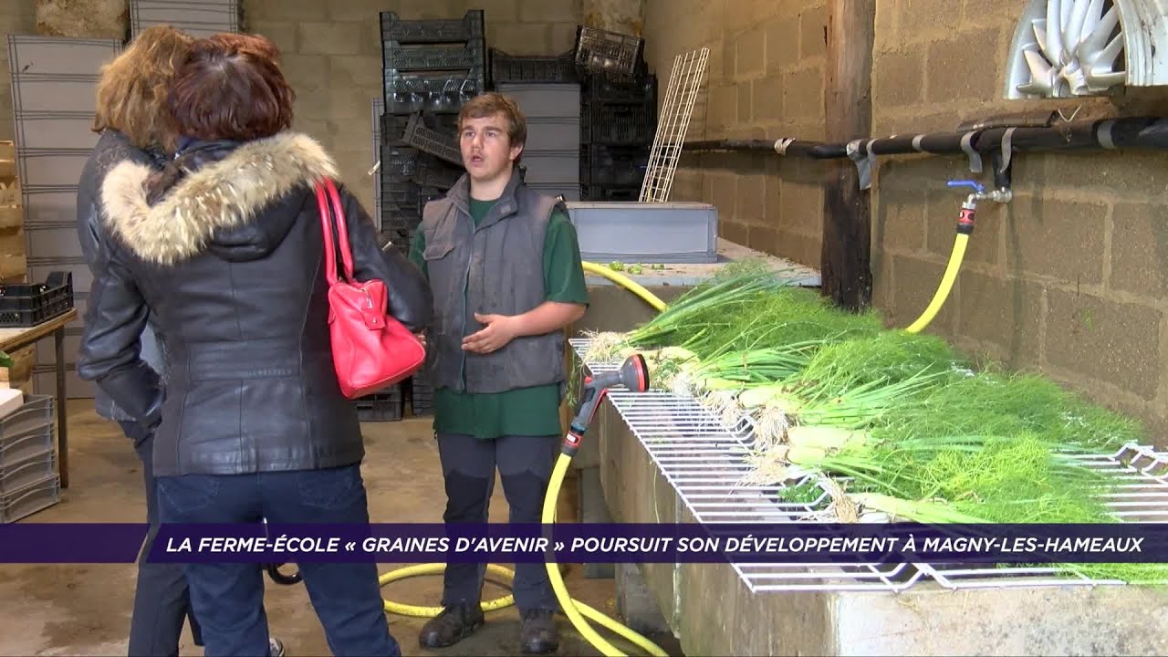 Yvelines | La ferme-école « Graines d’Avenir » poursuit son développement à Magny-les-Hameaux