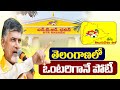 TDP Contesting Alone In Telangana Assembly Elections