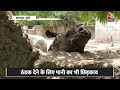 Weather Updates: भीषण गर्मी से जानवर भी हुए बेहाल, Kanpur के चिड़ियाघर में लगाए गए कूलर | Aaj Tak  - 03:20 min - News - Video