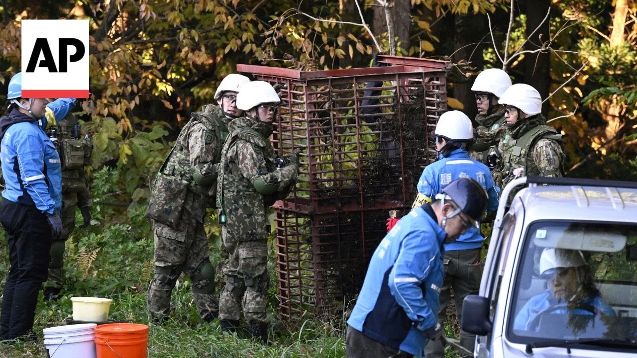 Japan deploys military to counter a surge in bear attacks