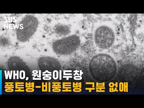 WHO, 원숭이두창 풍토병-비풍토병 구분 없애 / SBS
