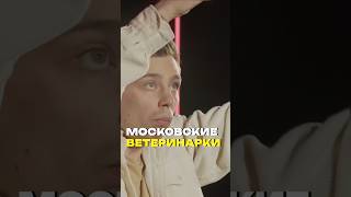 Как дёшево вылечить собаку в Москве? #орлов #стендап #юмор #standup #собаки #питомцы