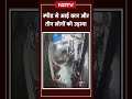 Bhiwandi: तेज़ रफ़्तार कार ने स्कूटी को मारी जोरदार टक्कर | CCTV Video | Maharashtra  - 01:03 min - News - Video
