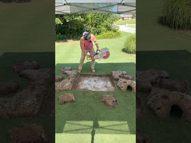 Extreme Action for a Nice Lawn