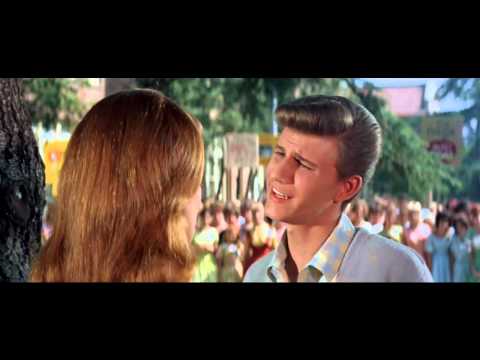 Bye Bye Birdie'