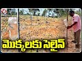 Man Arranged Bottles To Plants For Water Pumping | Warangal | V6 News