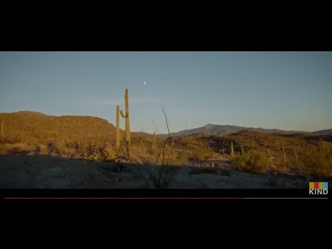 More Than Nice by Emmanuel Lubezki More Than Nice by Emmanuel Lubezki