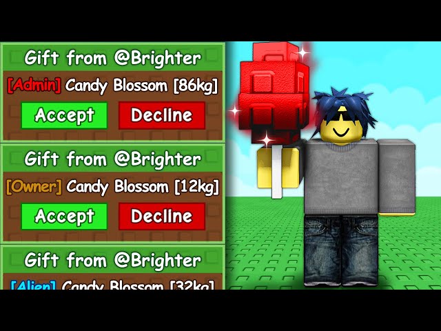 Begging Until I Get ADMIN Candy Blossom