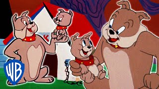 Tom a Jerry - Spike a Tyke