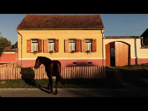 Video der Unterkunft