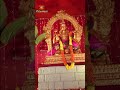 Lord Shiva 🕉️🙏Floral Decoration 🎨With Lights🪔 #kotideepotsavam2023 #bhakthitv  - 00:25 min - News - Video