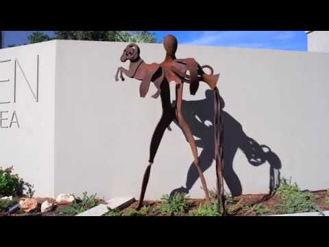 Property video