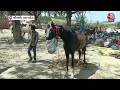 Uttar Pradesh: Kaushambi के शक्तिपीठ शीतला माता मंदिर में हर साल दो दिन का अनोखा गधा मेला लगता है  - 00:54 min - News - Video