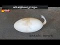 An Egg With a Tail in W.G District surprises all