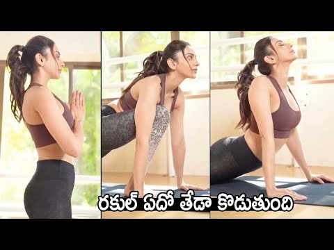 Actress Rakul Preet Singh's latest workout video Actress Rakul Preet Singh's latest workout video