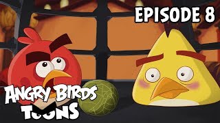 Angry Birds Toons II - 8. Zzrak ivota