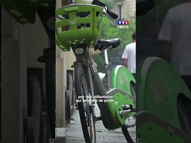 3 000 vélos dans la nature : que se passe-t-il avec les Vélib' à Paris ?｜TF1 INFO