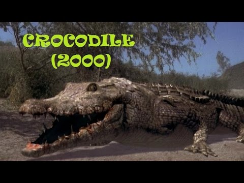 Crocodile'