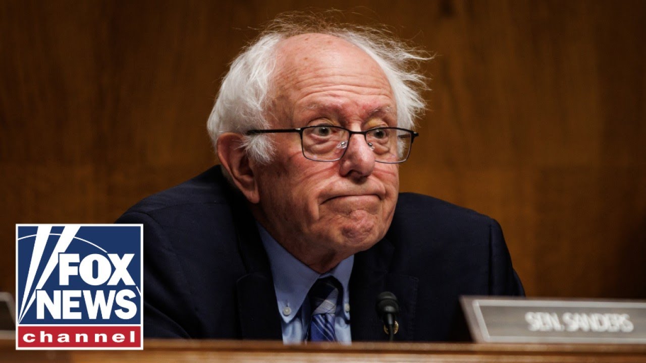 Tomi Lahren: Glad Bernie Sanders recognizes Left's obsession with identity politics is 'not helpful'