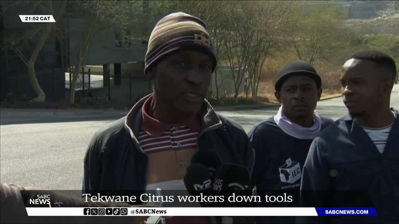 Mpumalanga | Tekwane Citrus Farm workers down tools